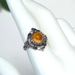 Montana Moss Agate Stainless Steel Adjustable Ring